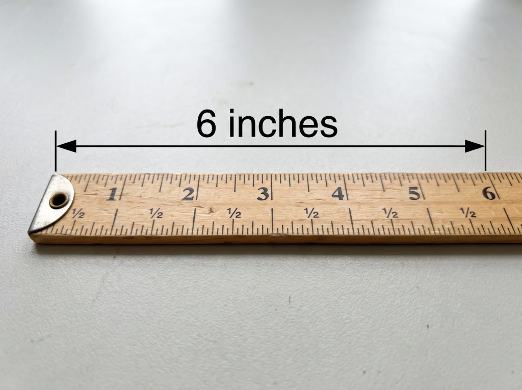 A Standard 12-Inch Ruler 