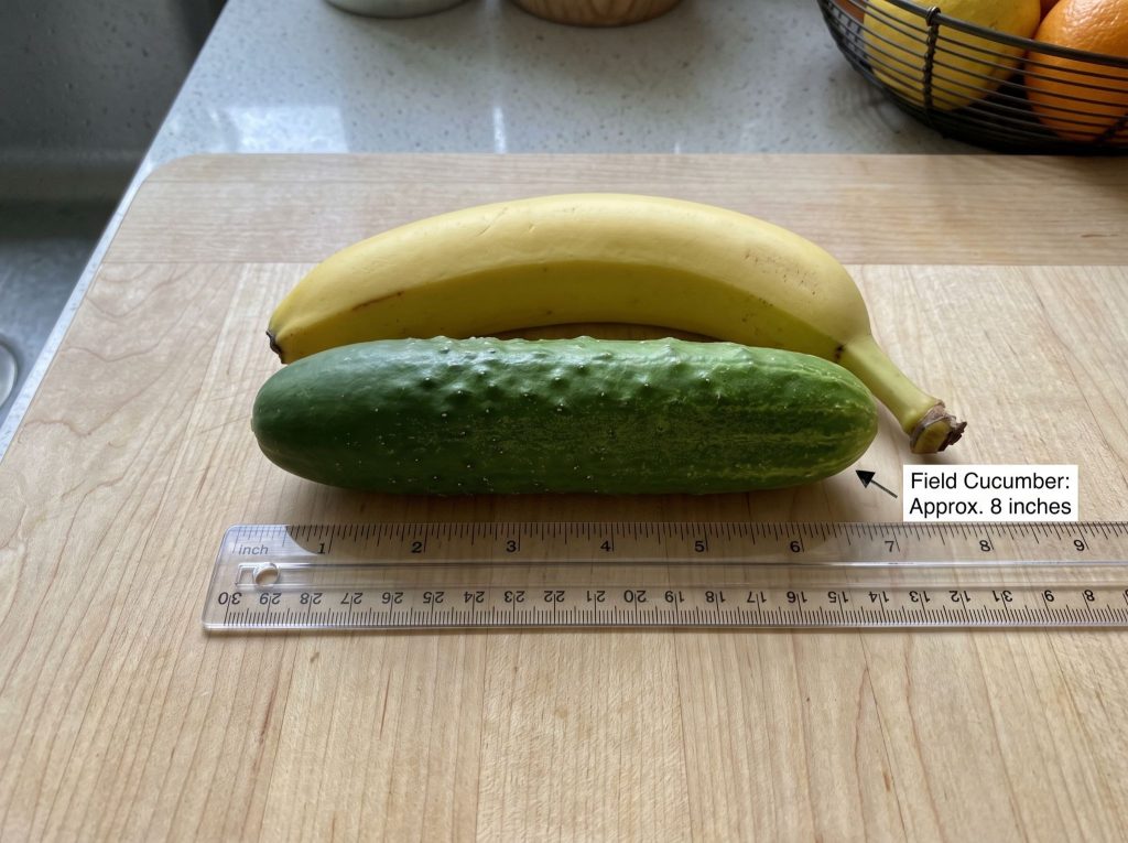 Image 7 Image 7
