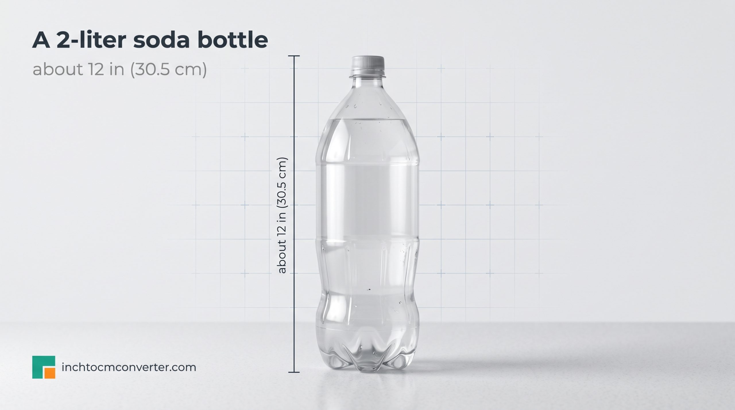 A 2-litre soda bottle, about 12.4 inches tall, as a one-foot size reference A 2-litre soda bottle, about 12.4 inches tall, as a one-foot size reference