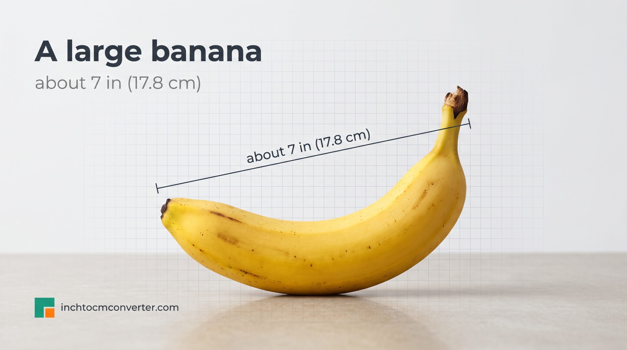 A Large Banana - size reference with measurement A Large Banana - size reference with measurement