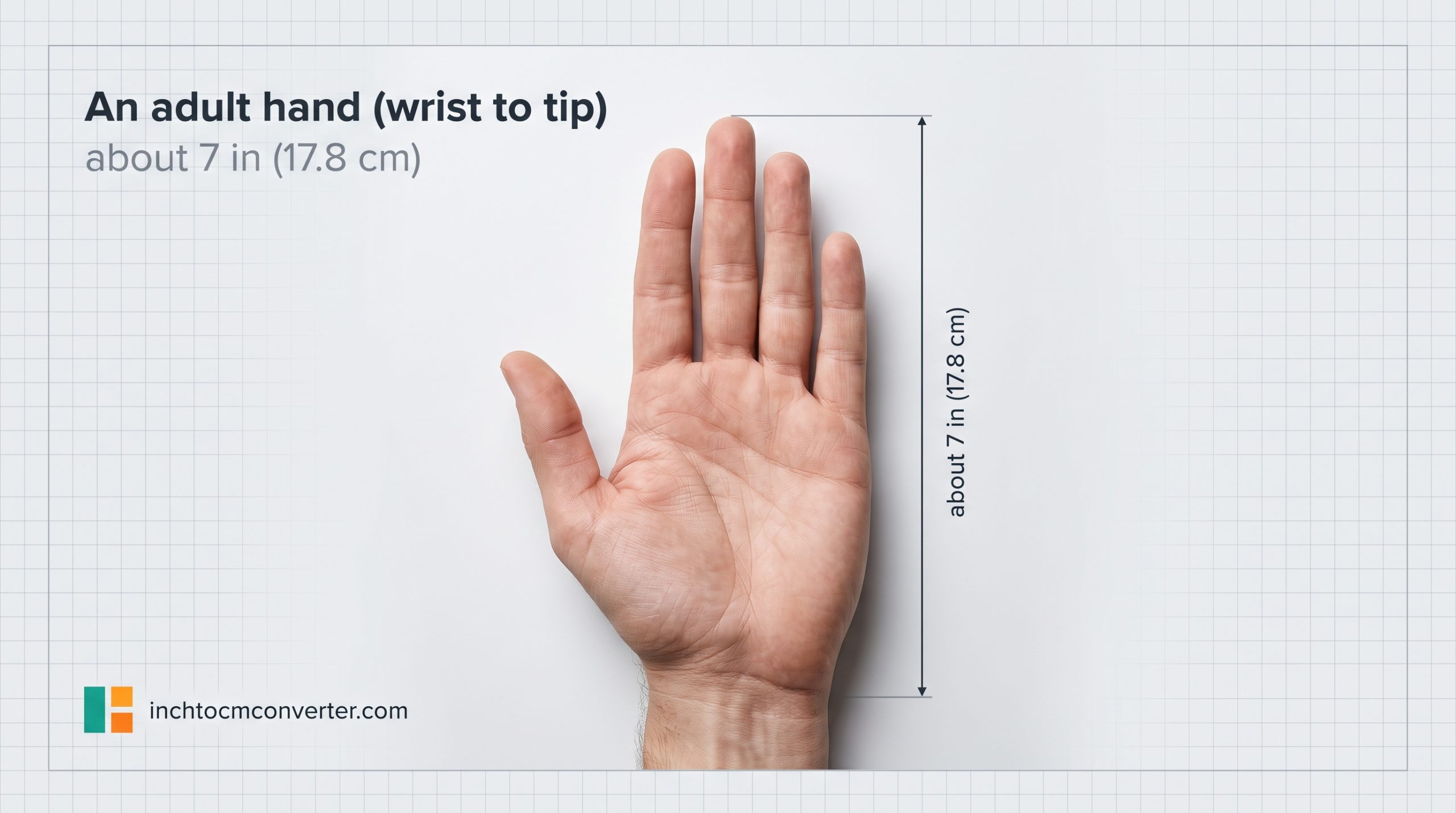 An Adult Hand, Wrist to Fingertip - size reference with measurement An Adult Hand, Wrist to Fingertip - size reference with measurement