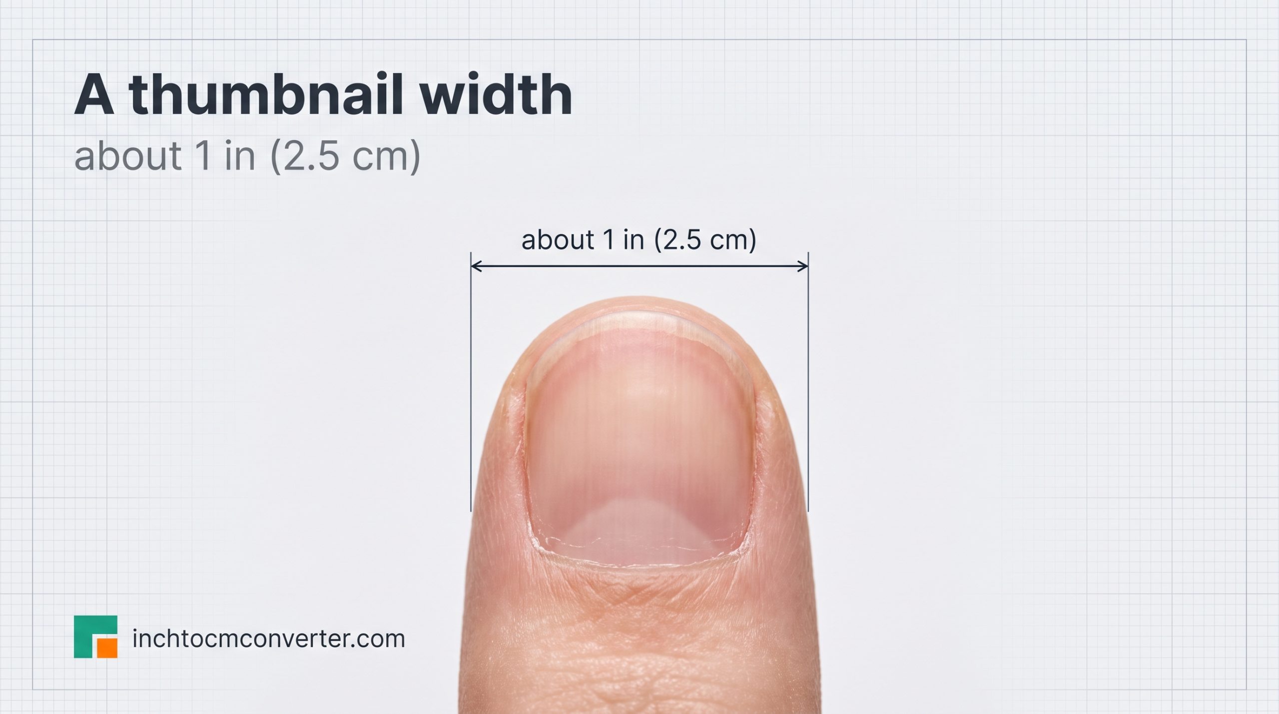 The Width of Your Thumbnail - size reference with measurement