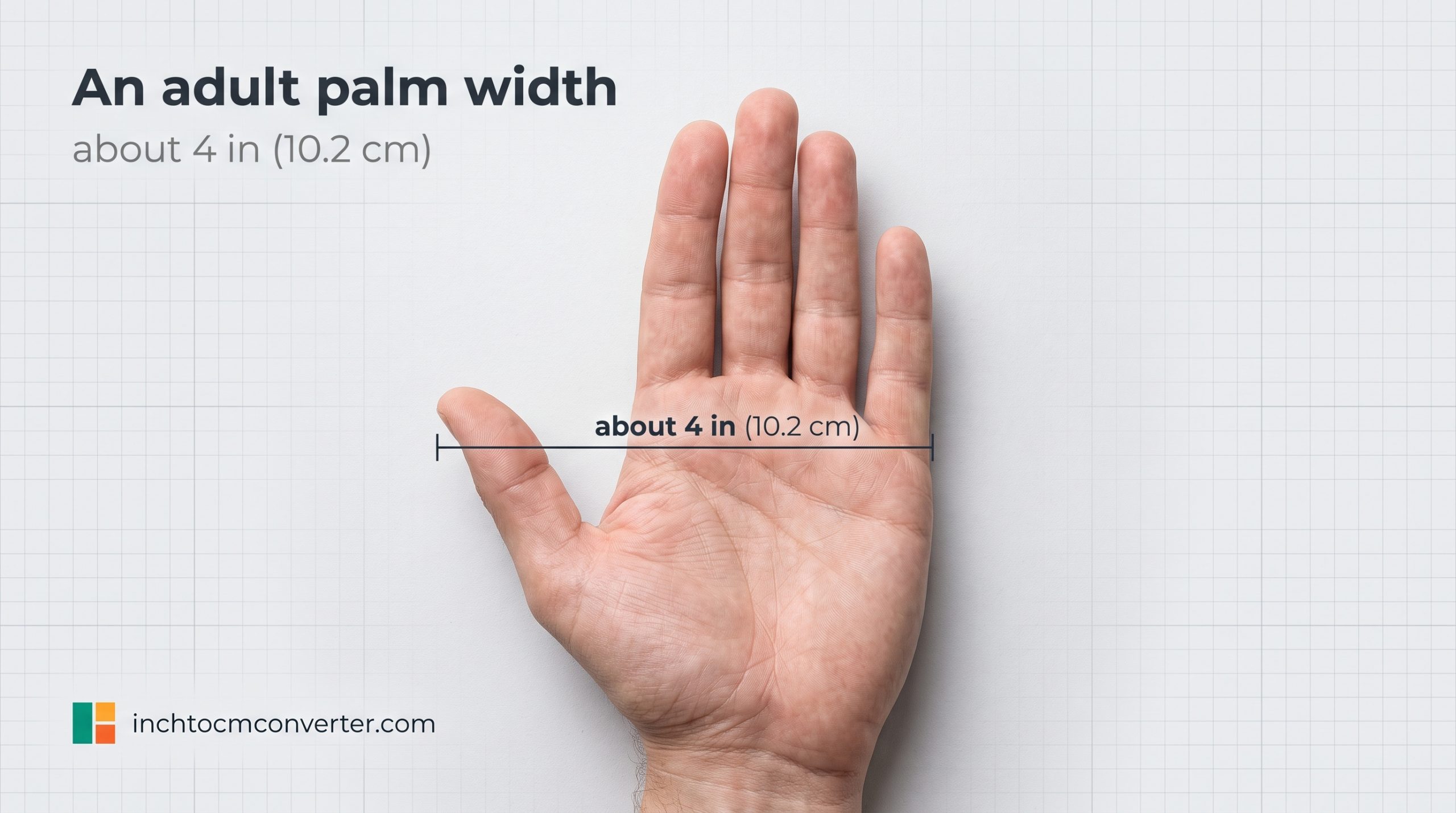 The Width of an Adult Palm - size reference with measurement