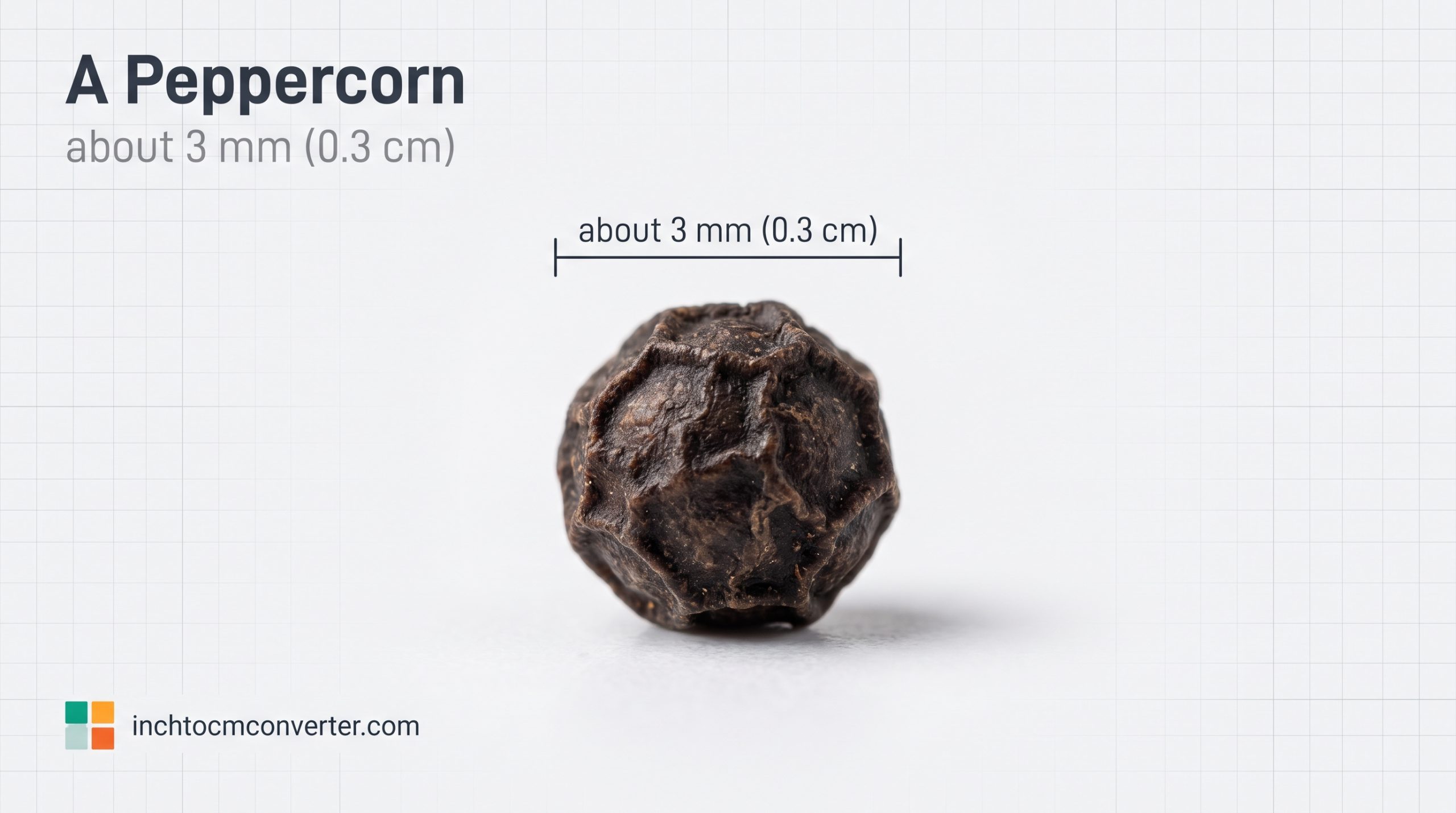 A Peppercorn - size reference with measurement A Peppercorn - size reference with measurement