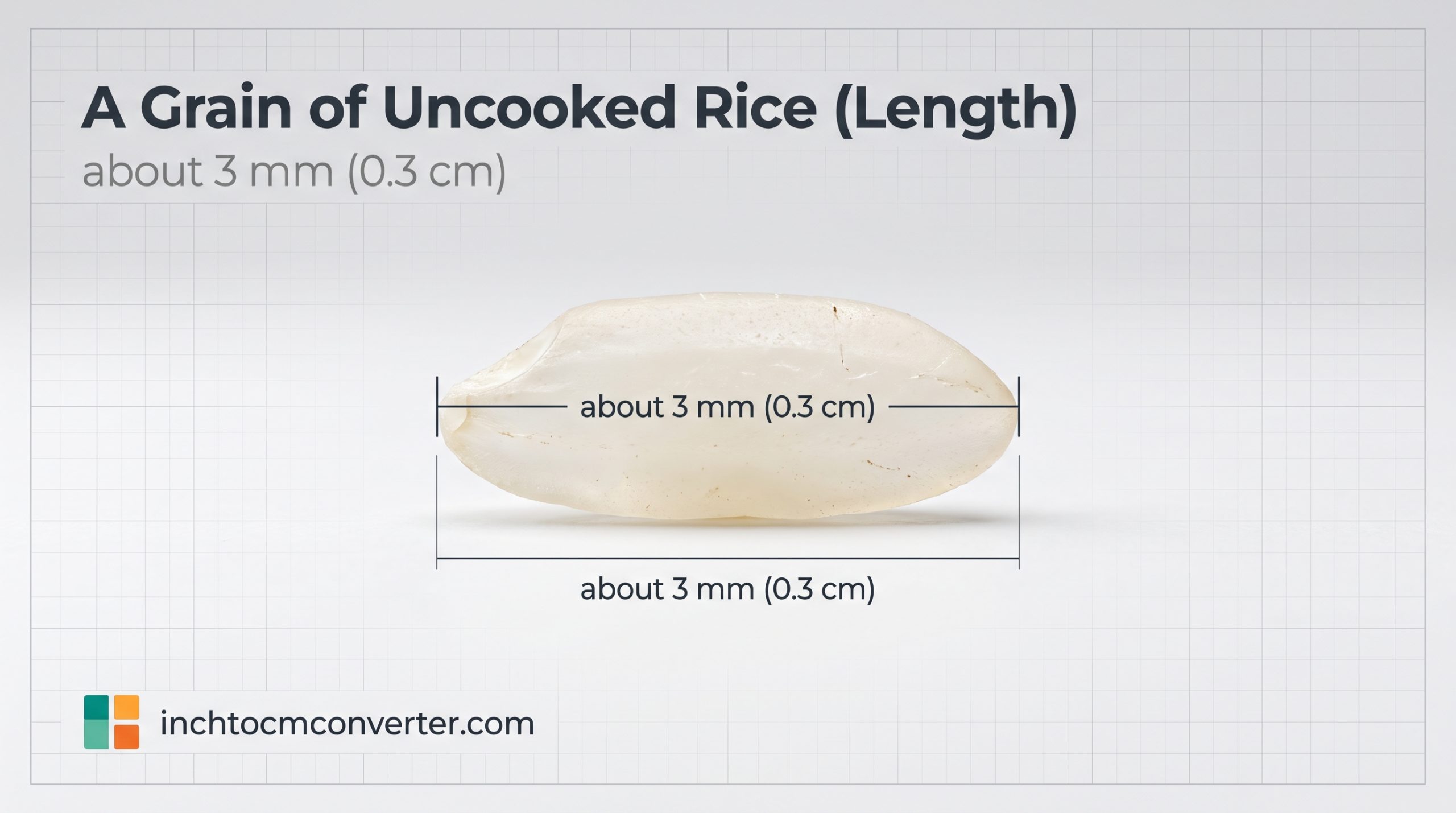 A Grain of Uncooked Rice (Length) - size reference with measurement A Grain of Uncooked Rice (Length) - size reference with measurement