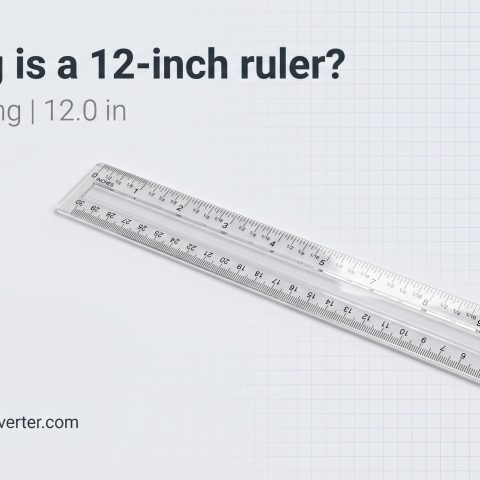 Ruler 12 Inch Size Photo