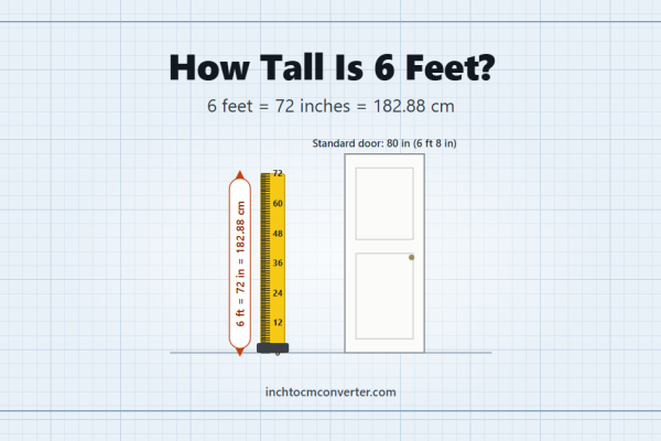 How tall is 6 feet - 6 feet equals 72 inches or 182.88 cm